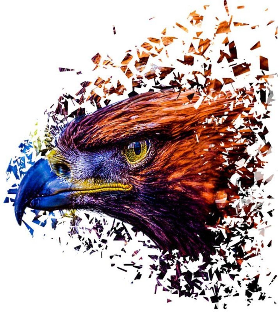 Изображение головы орла