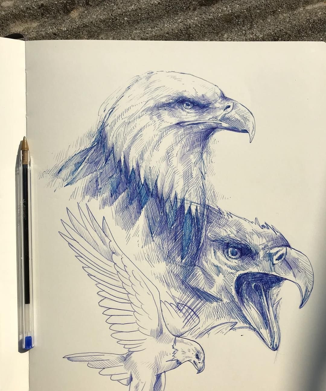 Орел рисунок