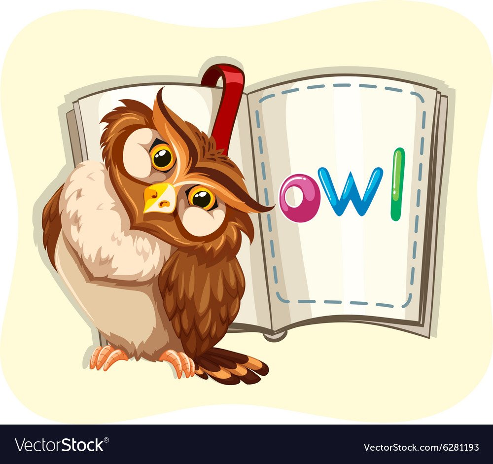 Сова с книгой вектор