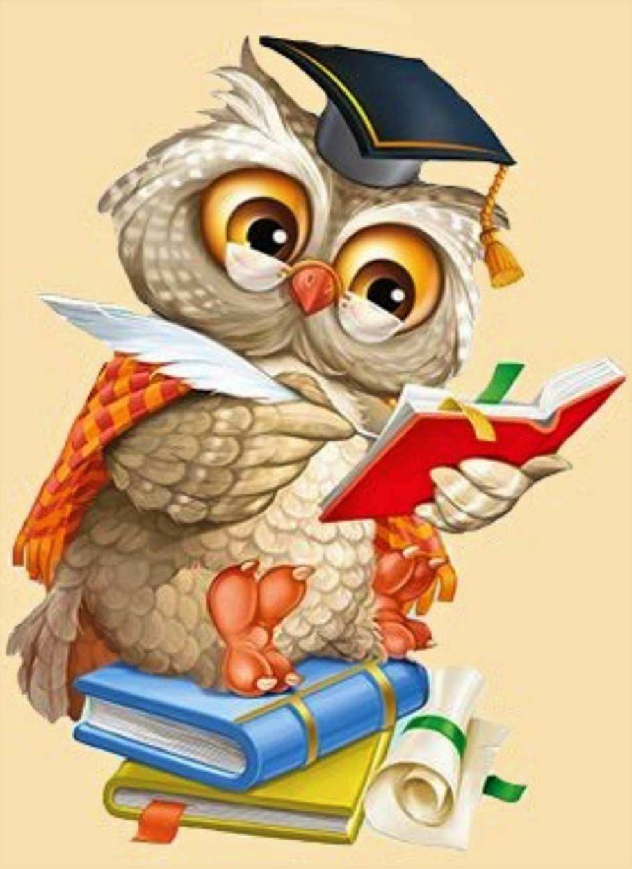 Сова 1 сентября