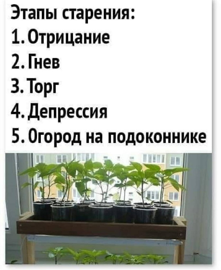 Шутки про огород в картинках