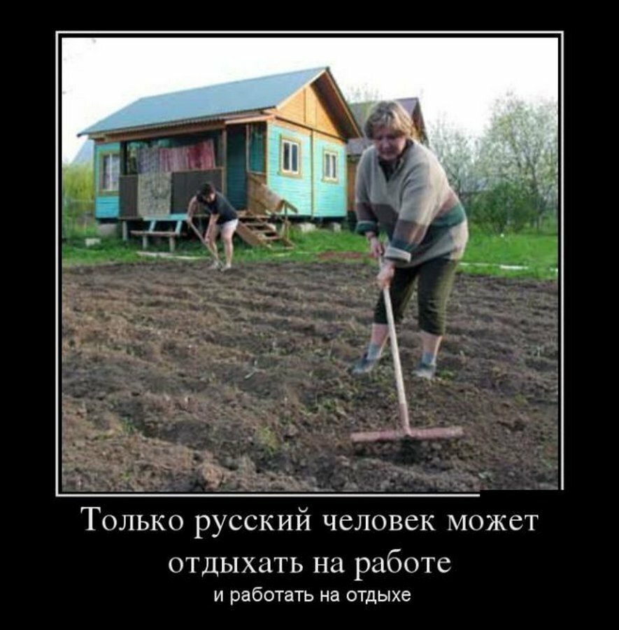 Наташа, грёбаный филолог, копай!