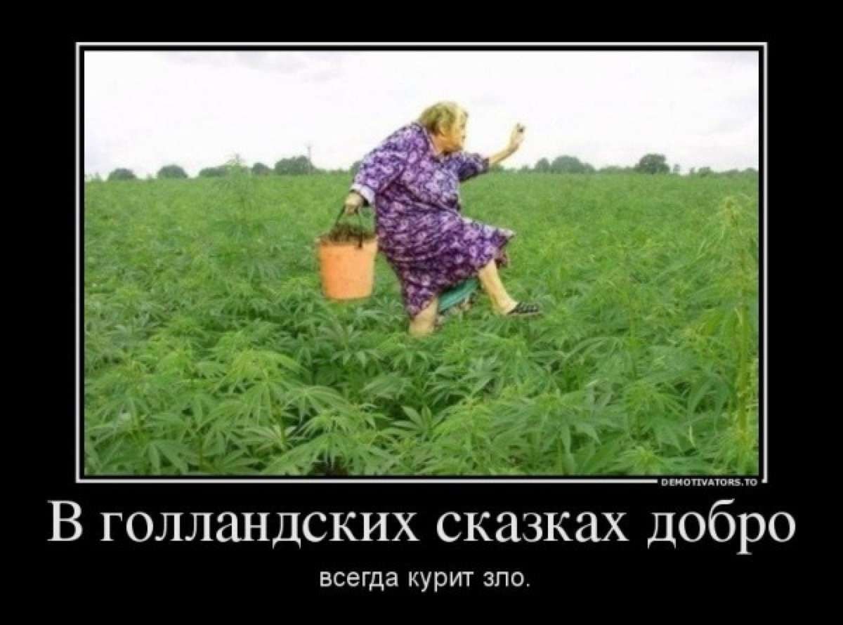 Про огород прикольные