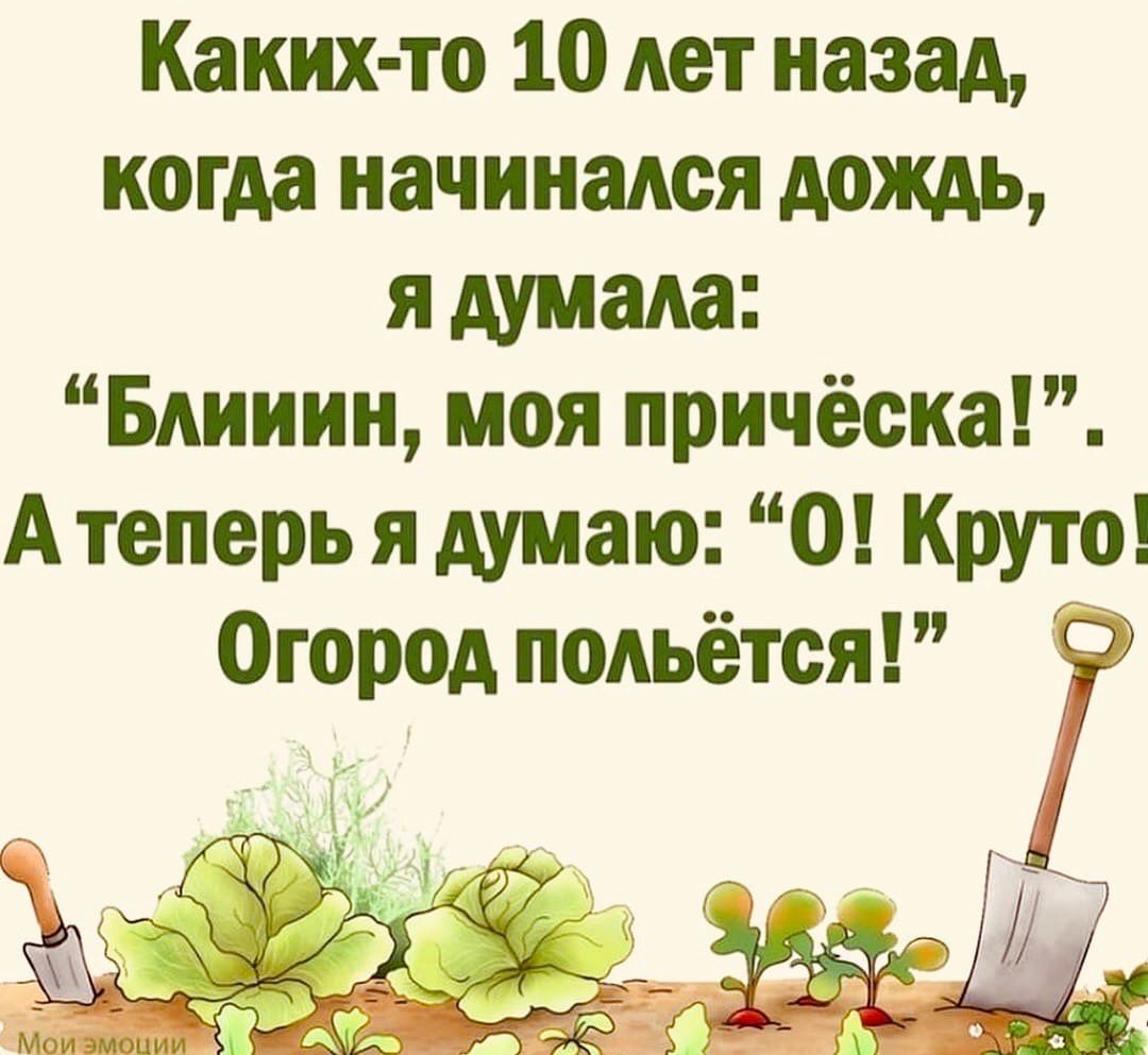 Статусы про огород