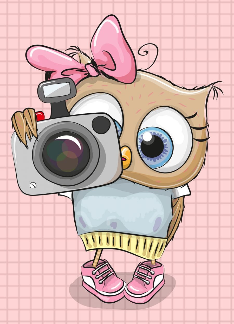 СИД Ледниковый период