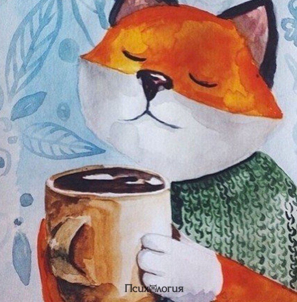 Котики пятница картинки