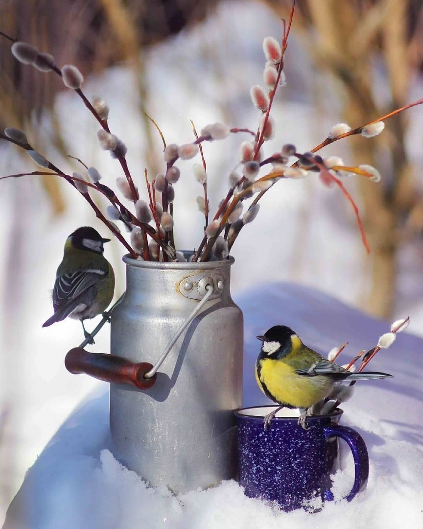 Февральское утро пожелания