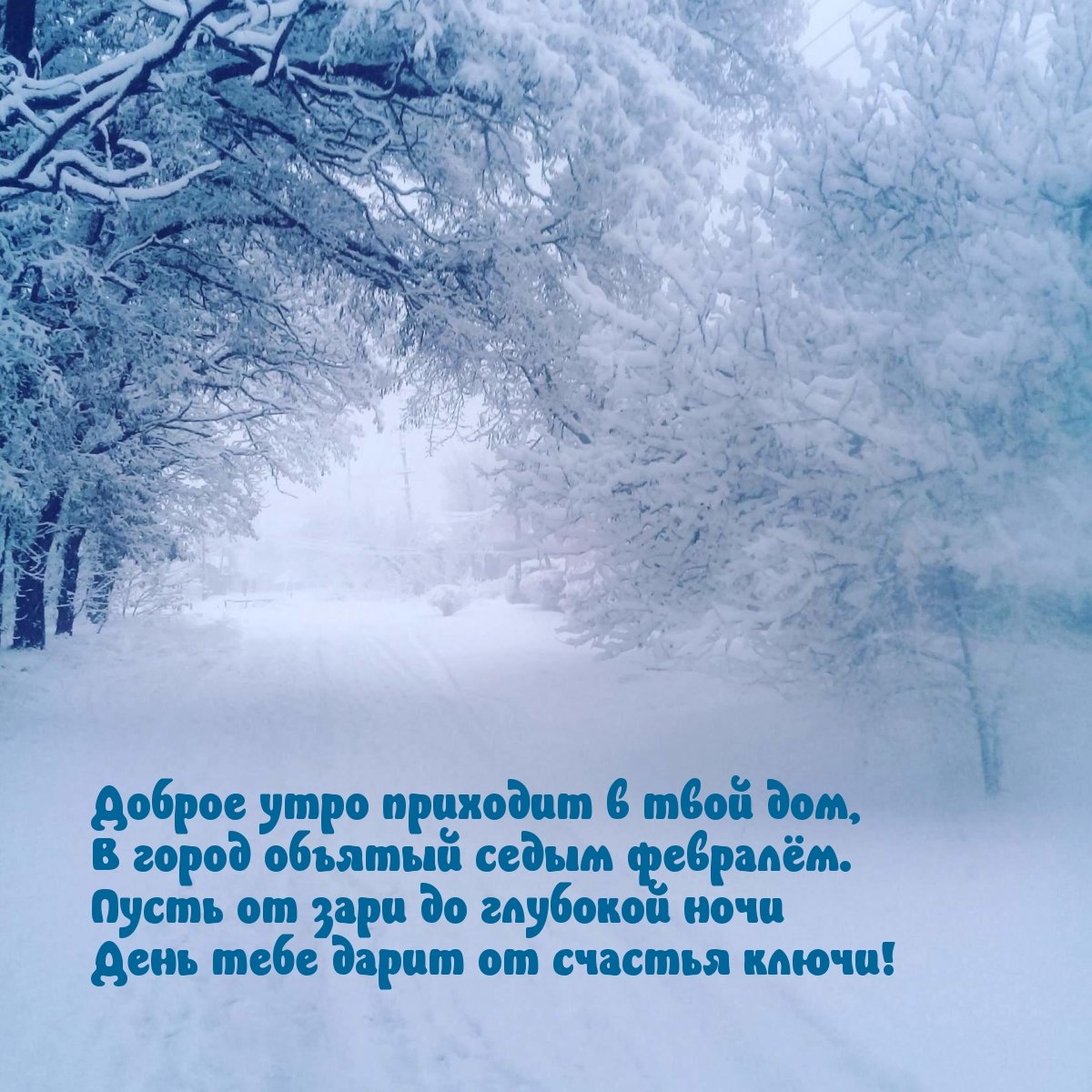 Доброфевральское утро