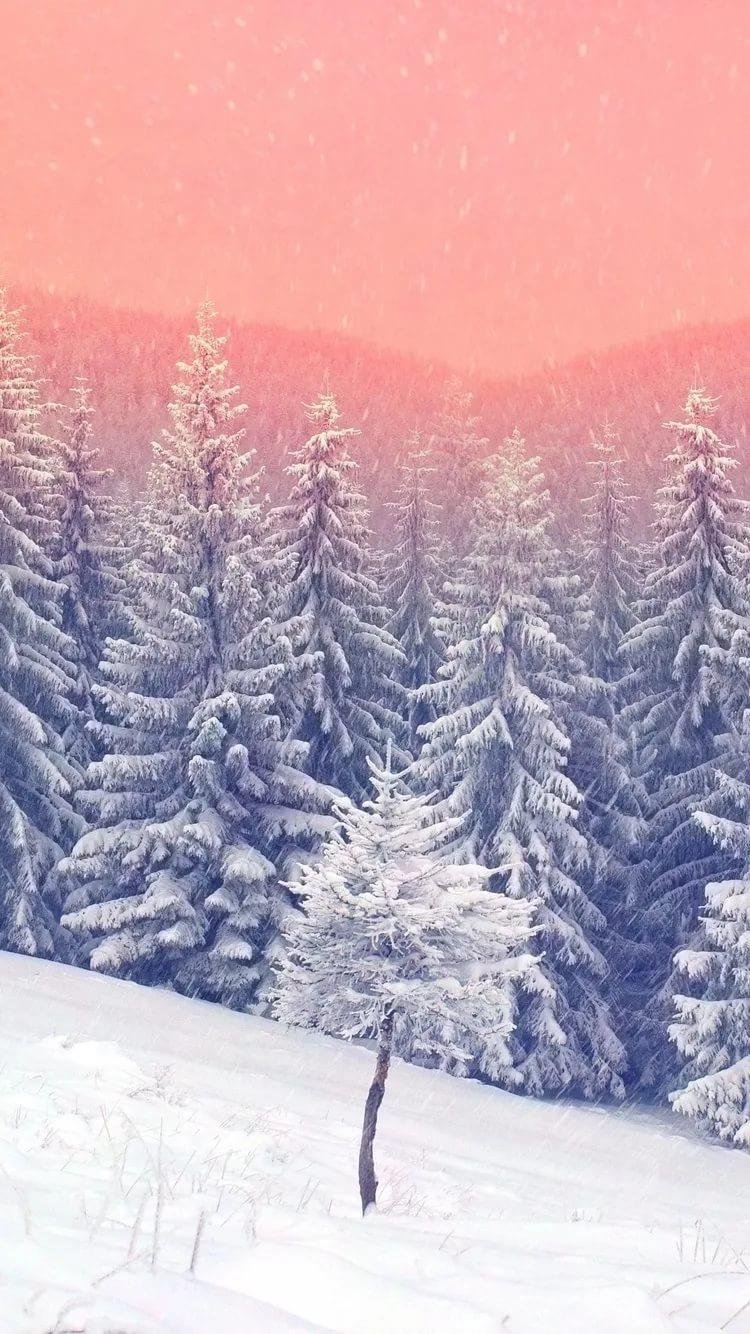 Зимние обои