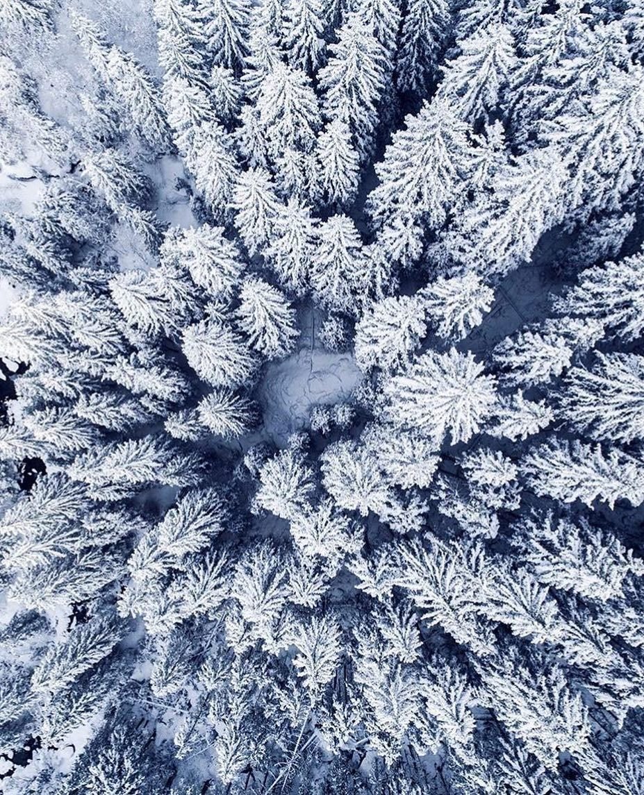 Зима Эстетика снег