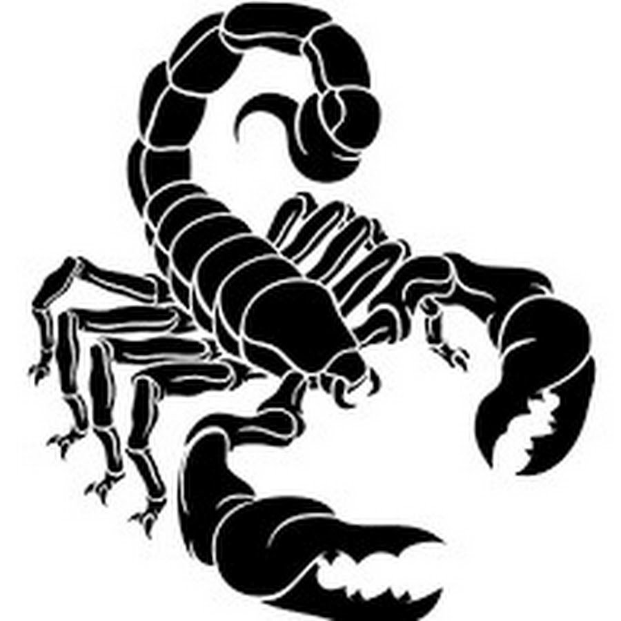 Скорпион злой картинки