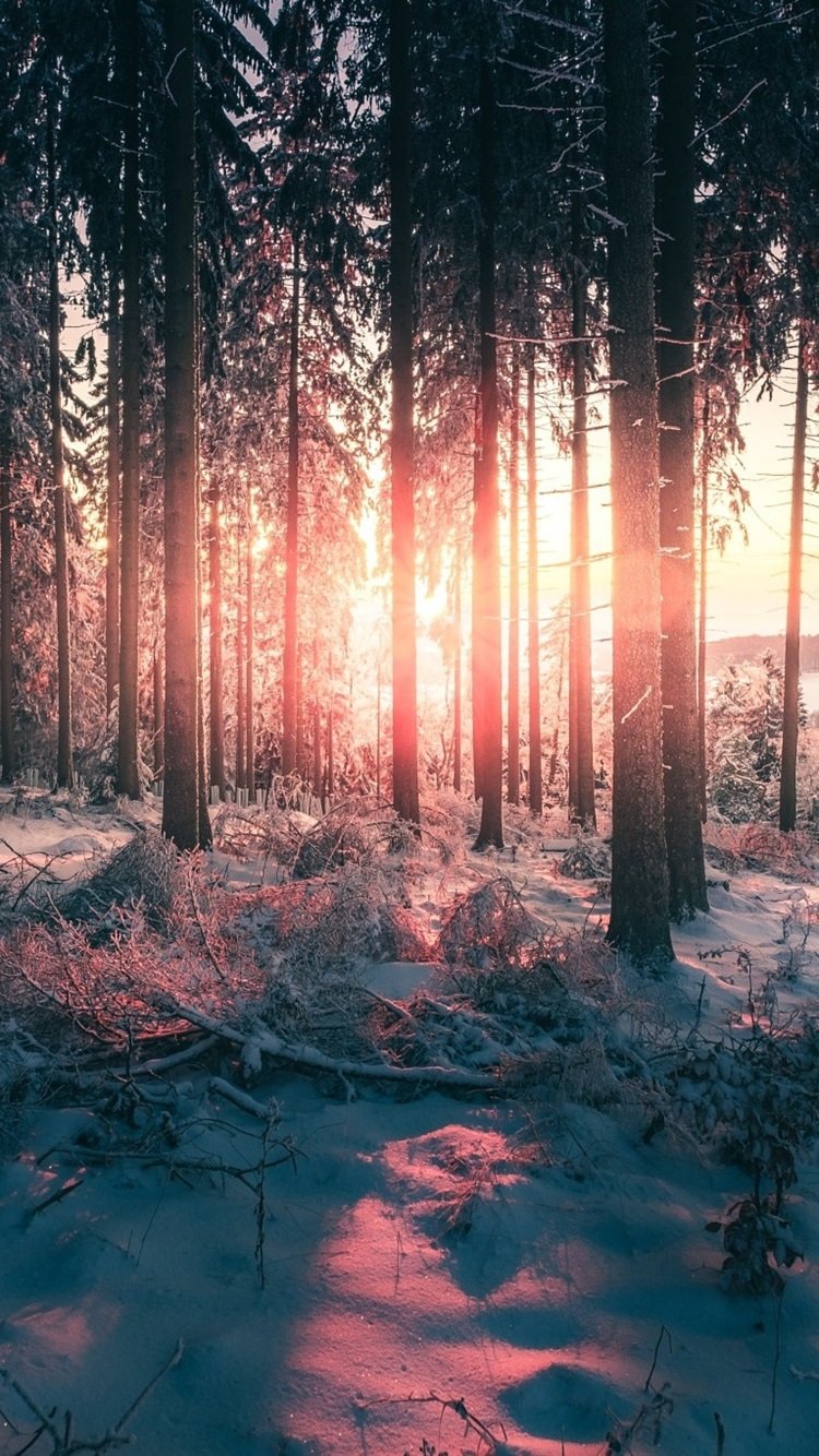 Атмосферные зимние пейзажи