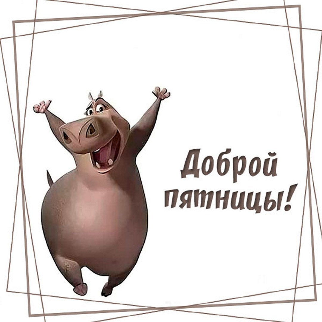 Всем привет картинки смешные