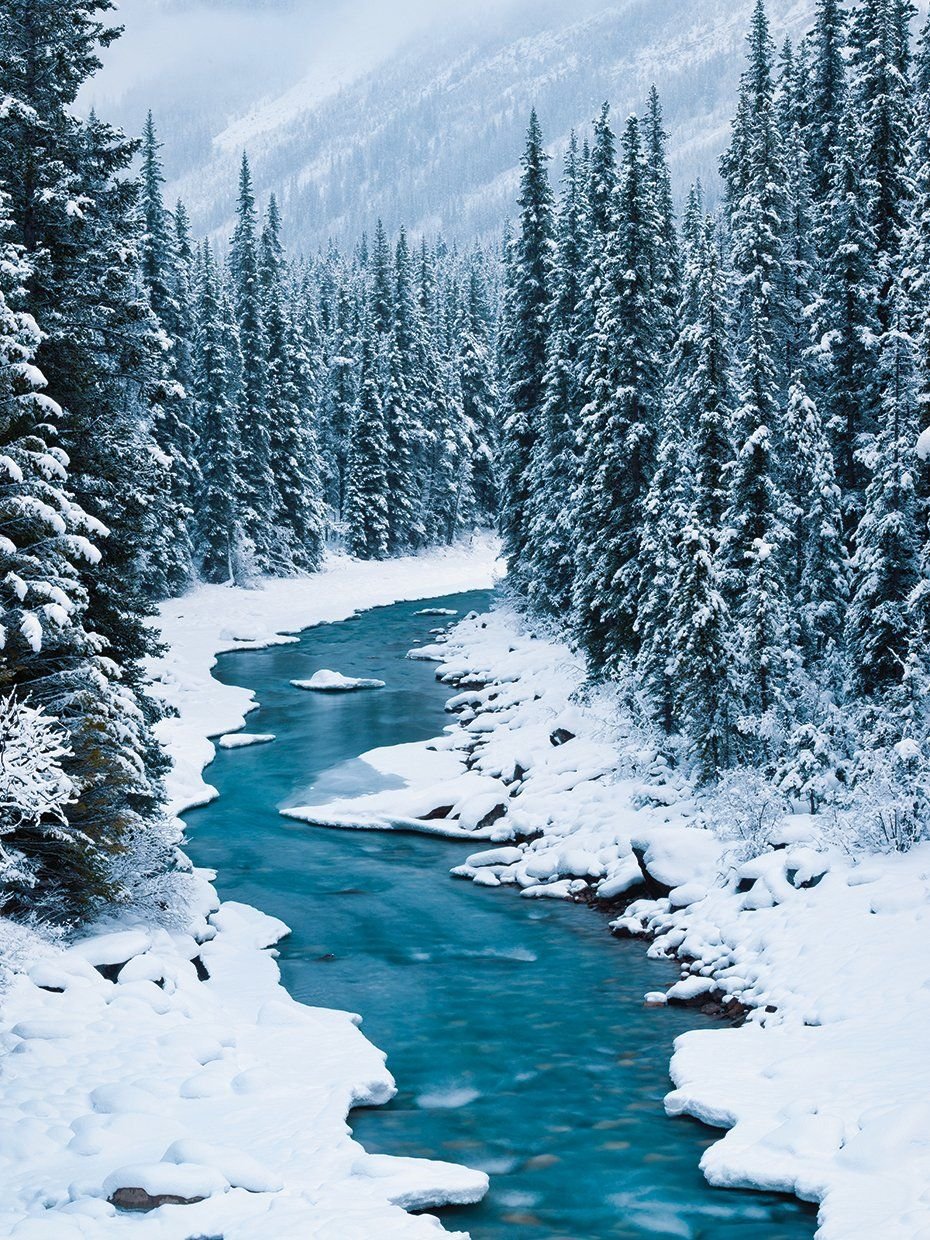 Зимние пейзажи с красными цветом