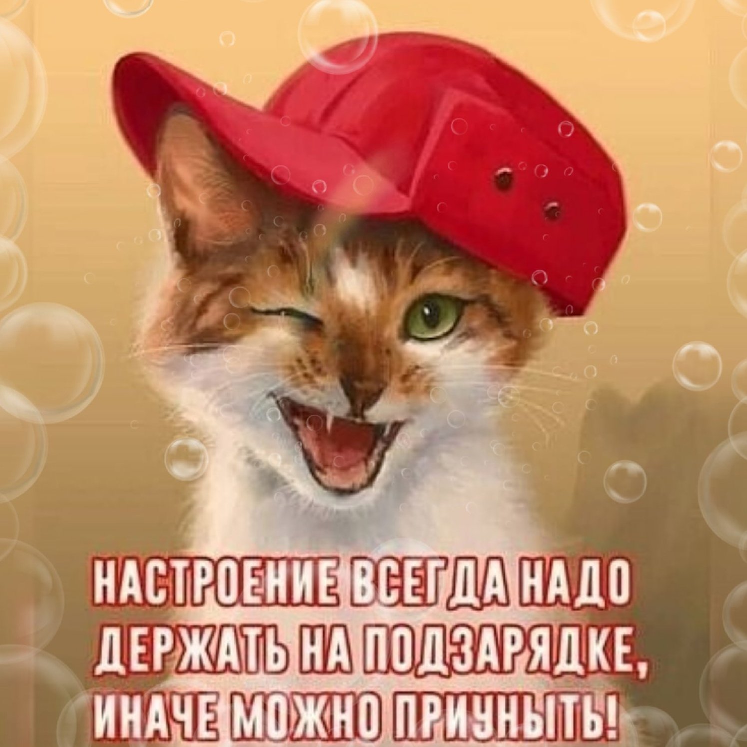Приветик смешные. Кот в кепке. Приветик картинки прикольные. Рыжий кот в кепке. Смешные картинки приветствия.