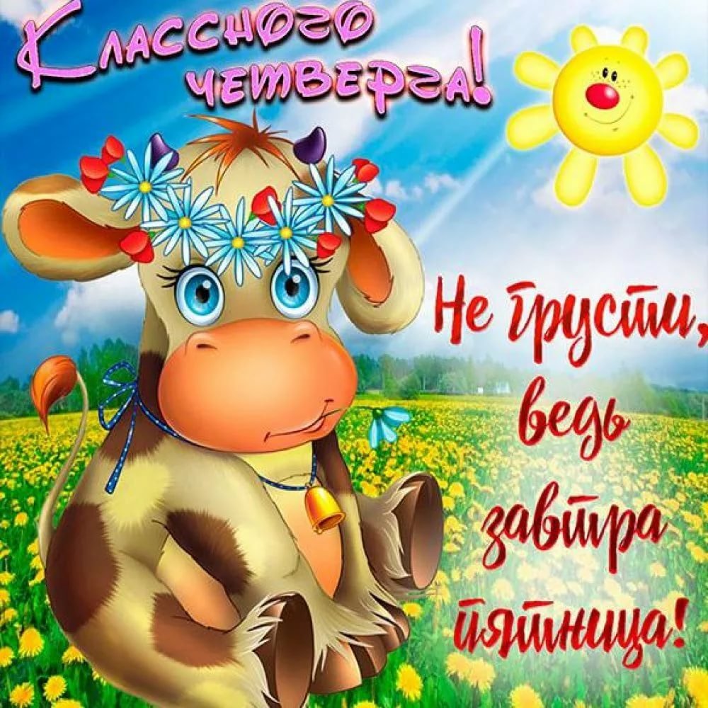 Доброе летнее утро четверга