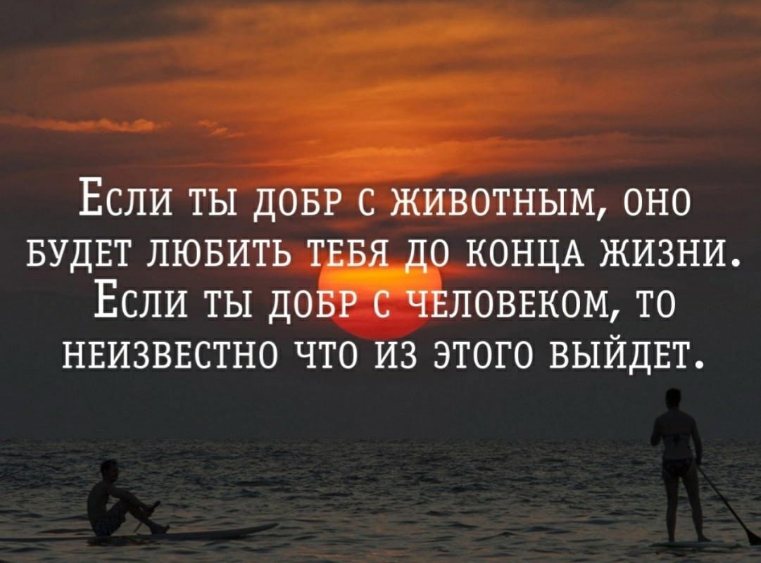 Каждый сам выбирает свой путь