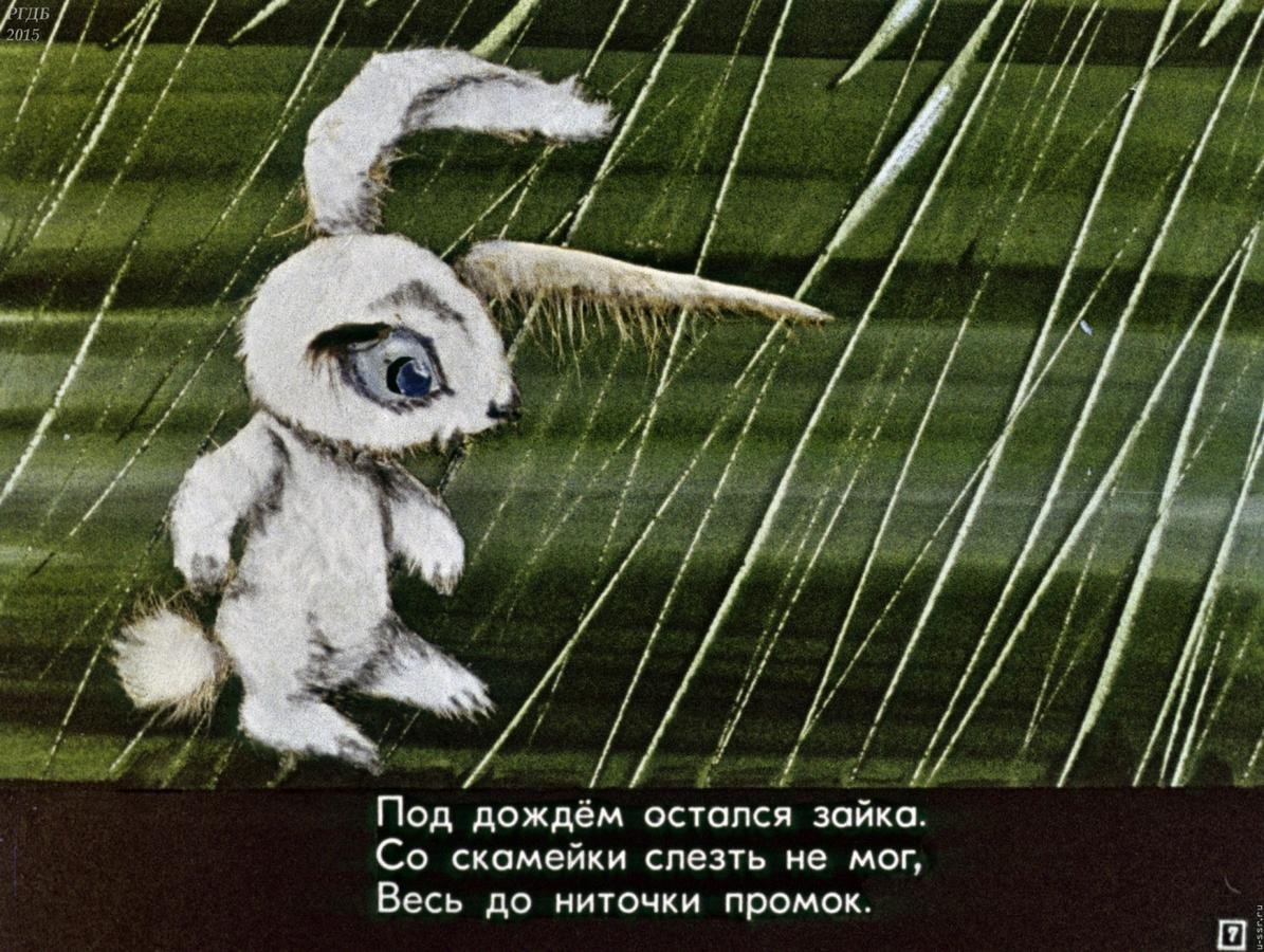 Зайчик весь до ниточки промок