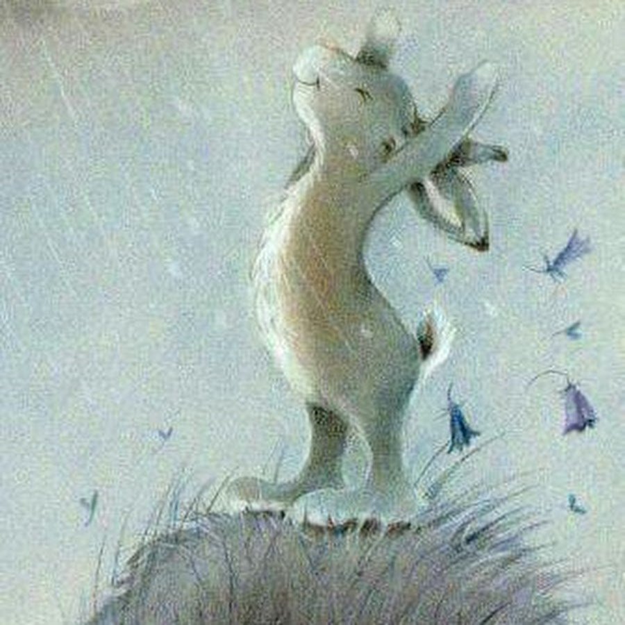 Заяц под дождиком