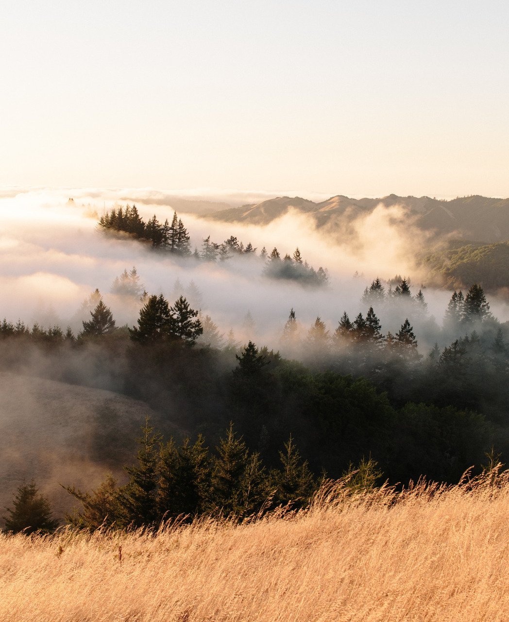 Природа туман