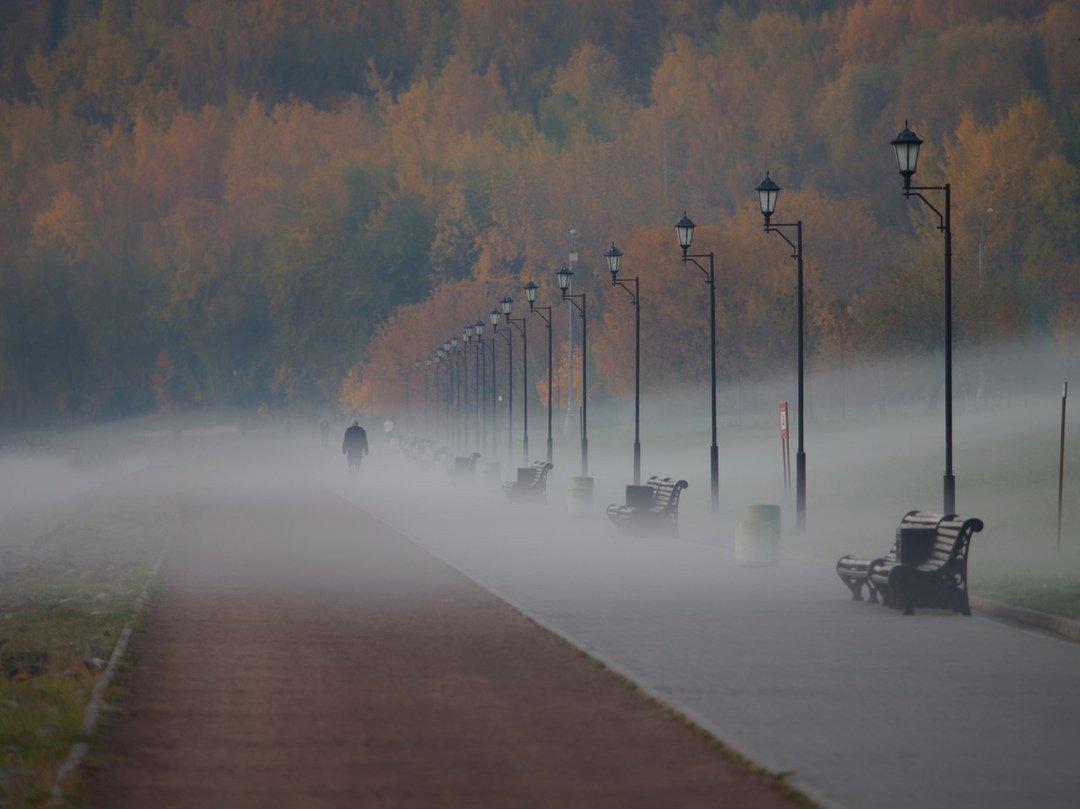 Туман город Карши парк