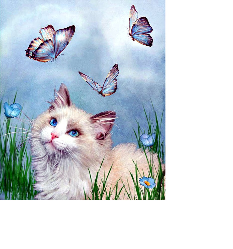 Кэрол Каваларис картины животные