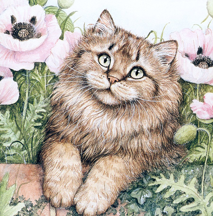 Художник Дебби Кук