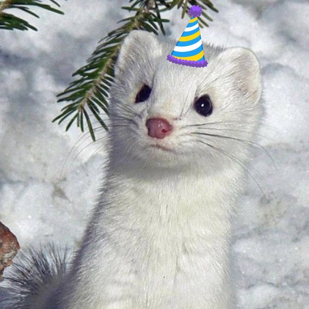 Милые животные в норках зимой