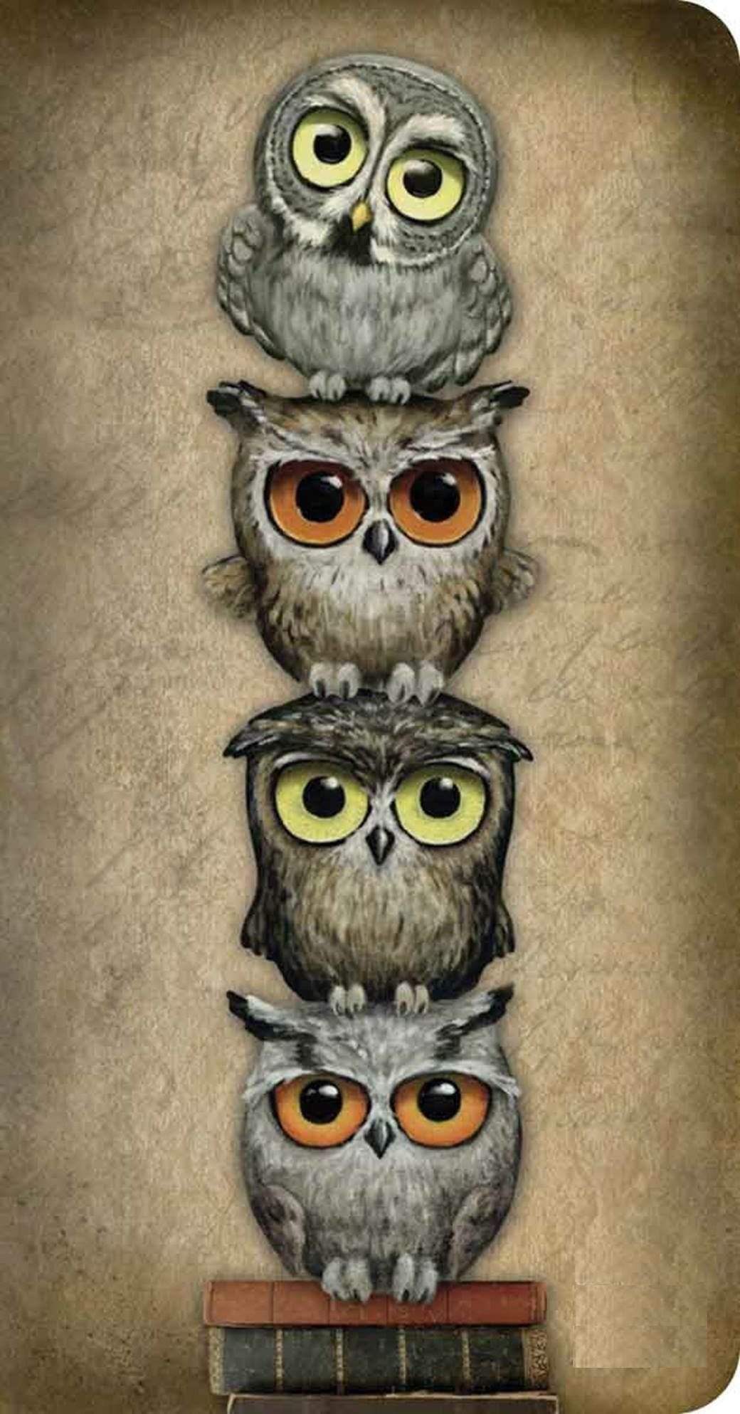 Совы картинки мультяшные