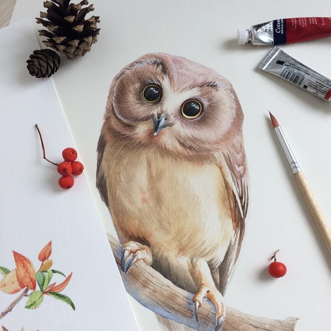 Reginast777 Сова