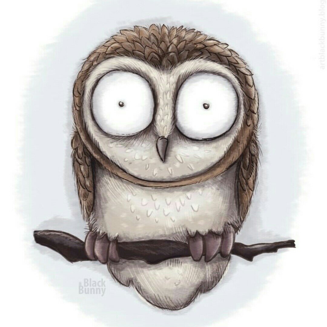 Постер Сова