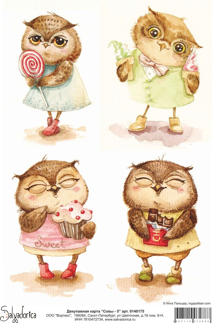 Милые Совушки