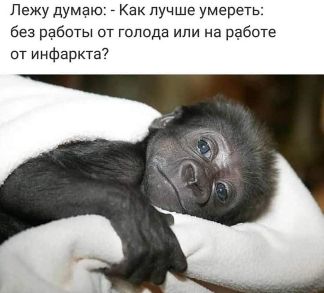 Однако доброе утро