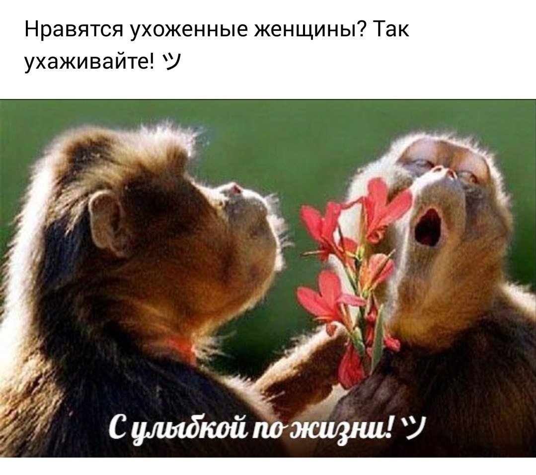 Шутки про четверг