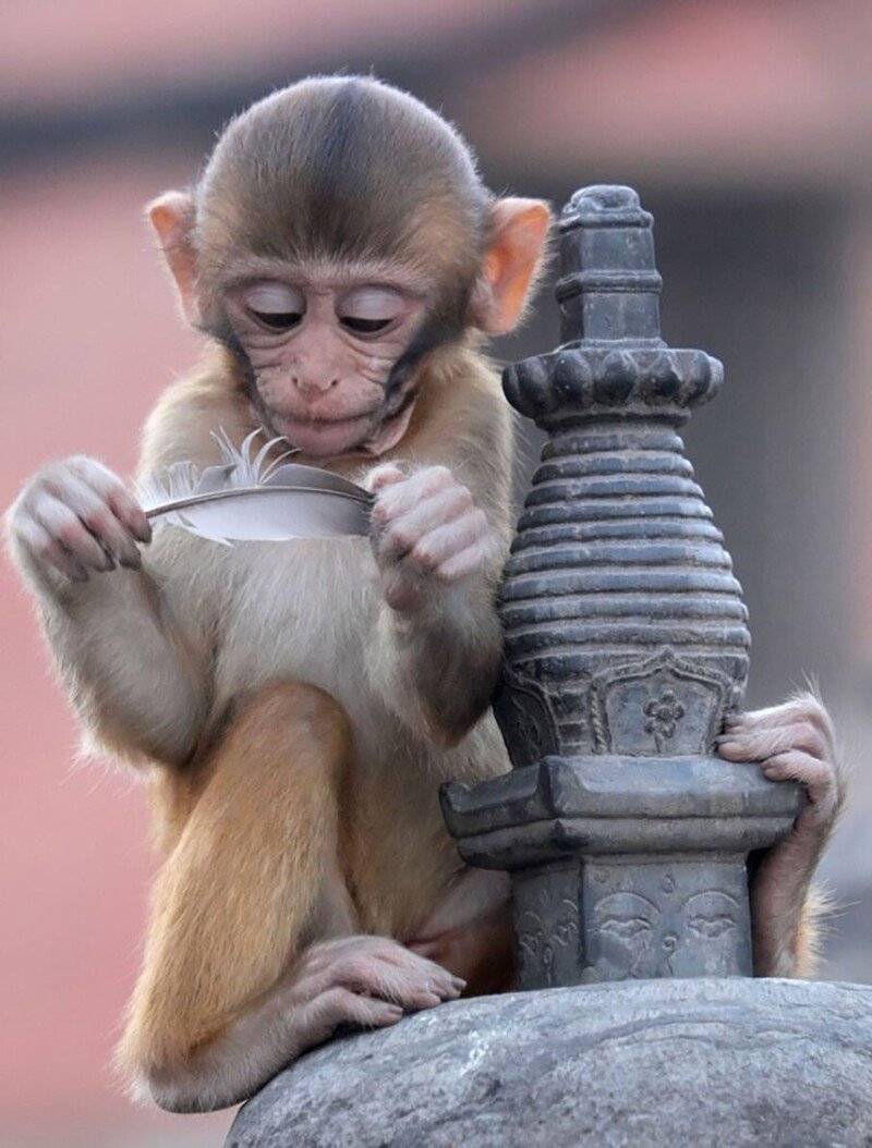 Минутка позитива