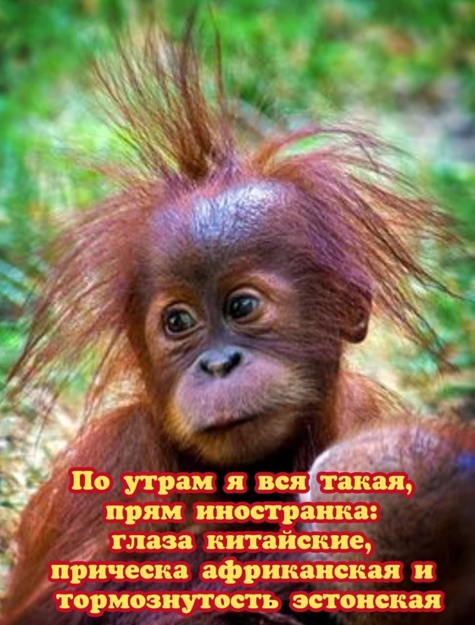 С пятницей картинки