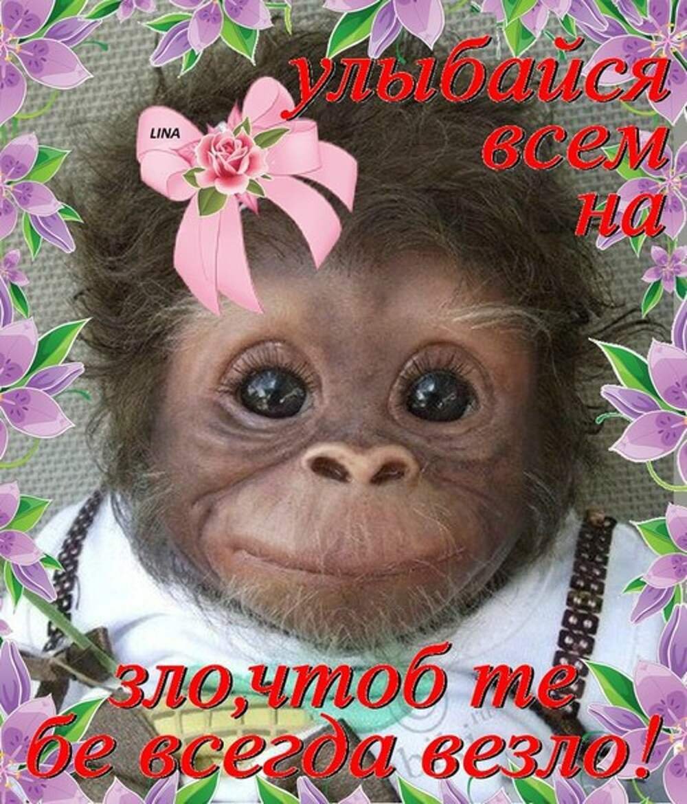 Орангутанг малыш