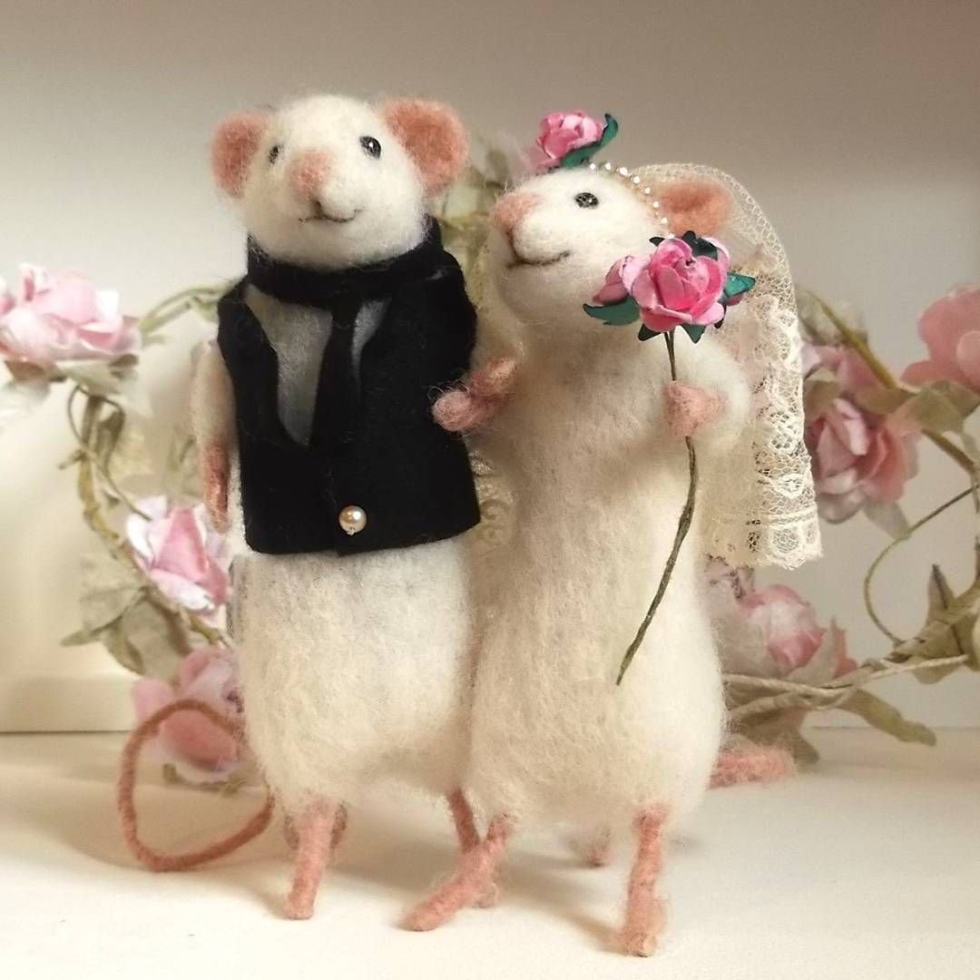 Крутая крыса