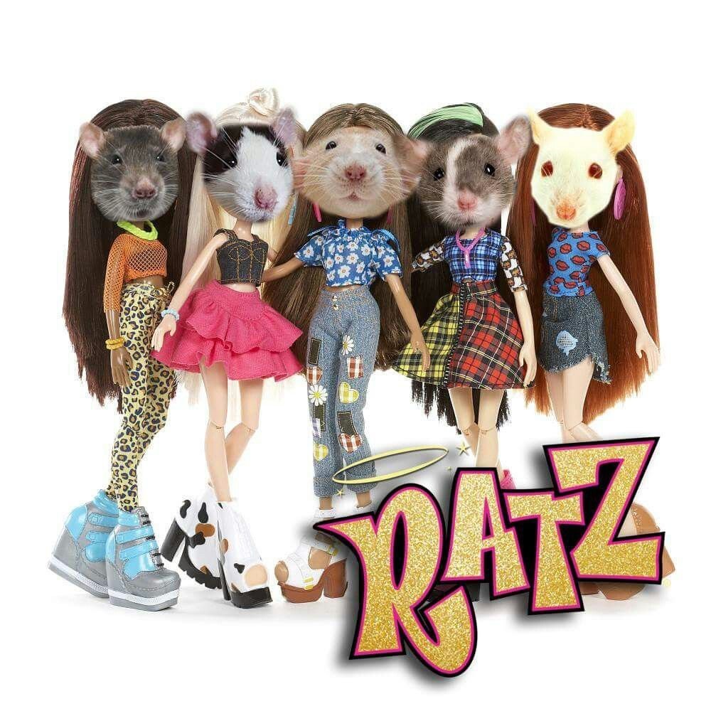 Крыски подружки