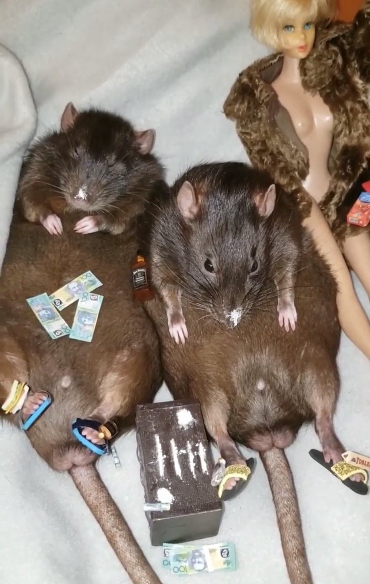 Мышь иллюстрация