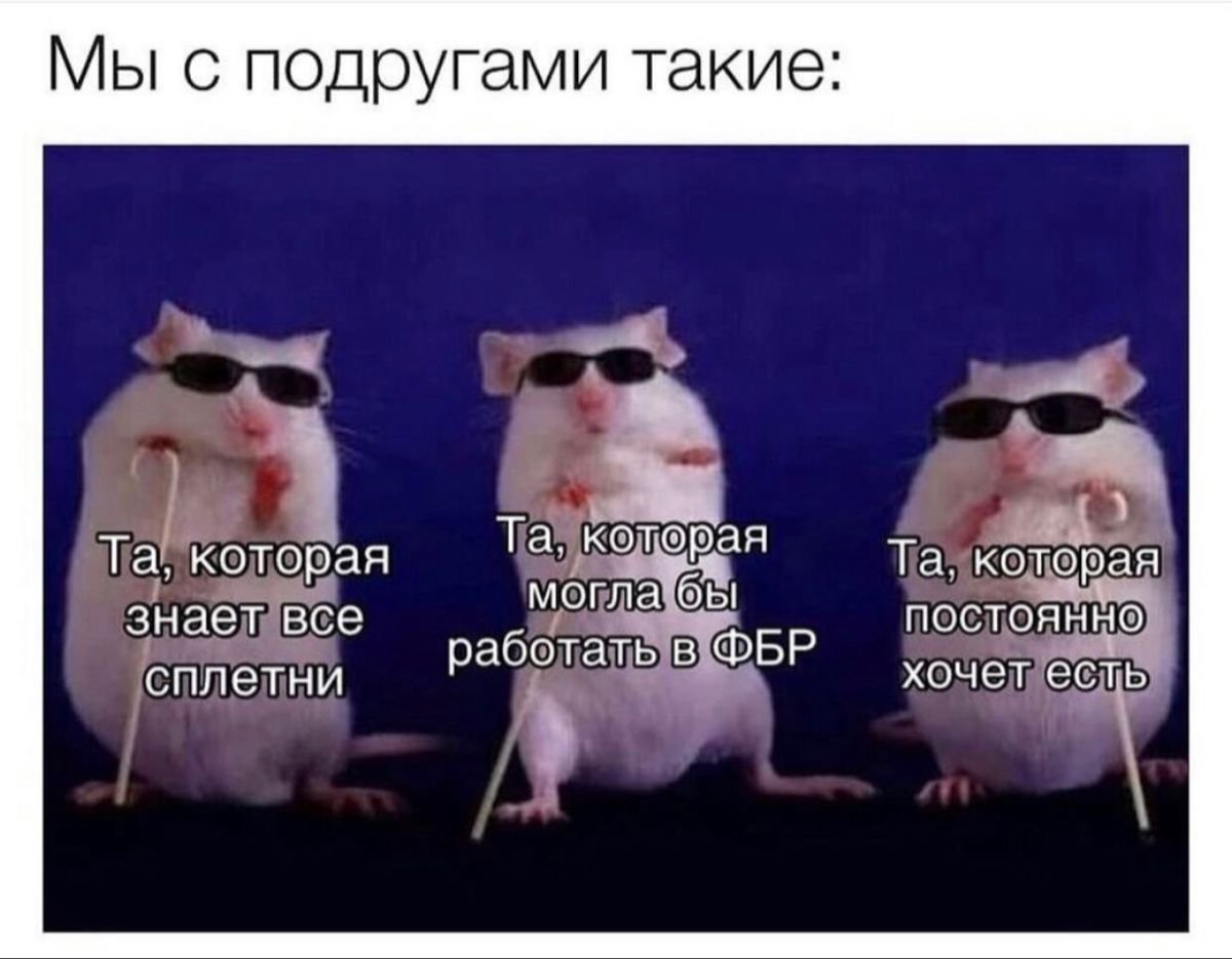 Много мышей