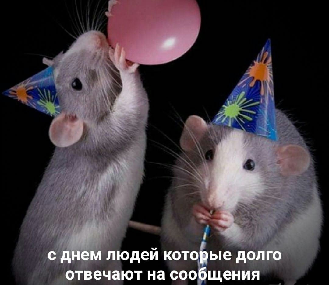 Фердинанд Ван Кессель Танцующие крысы, 1690.