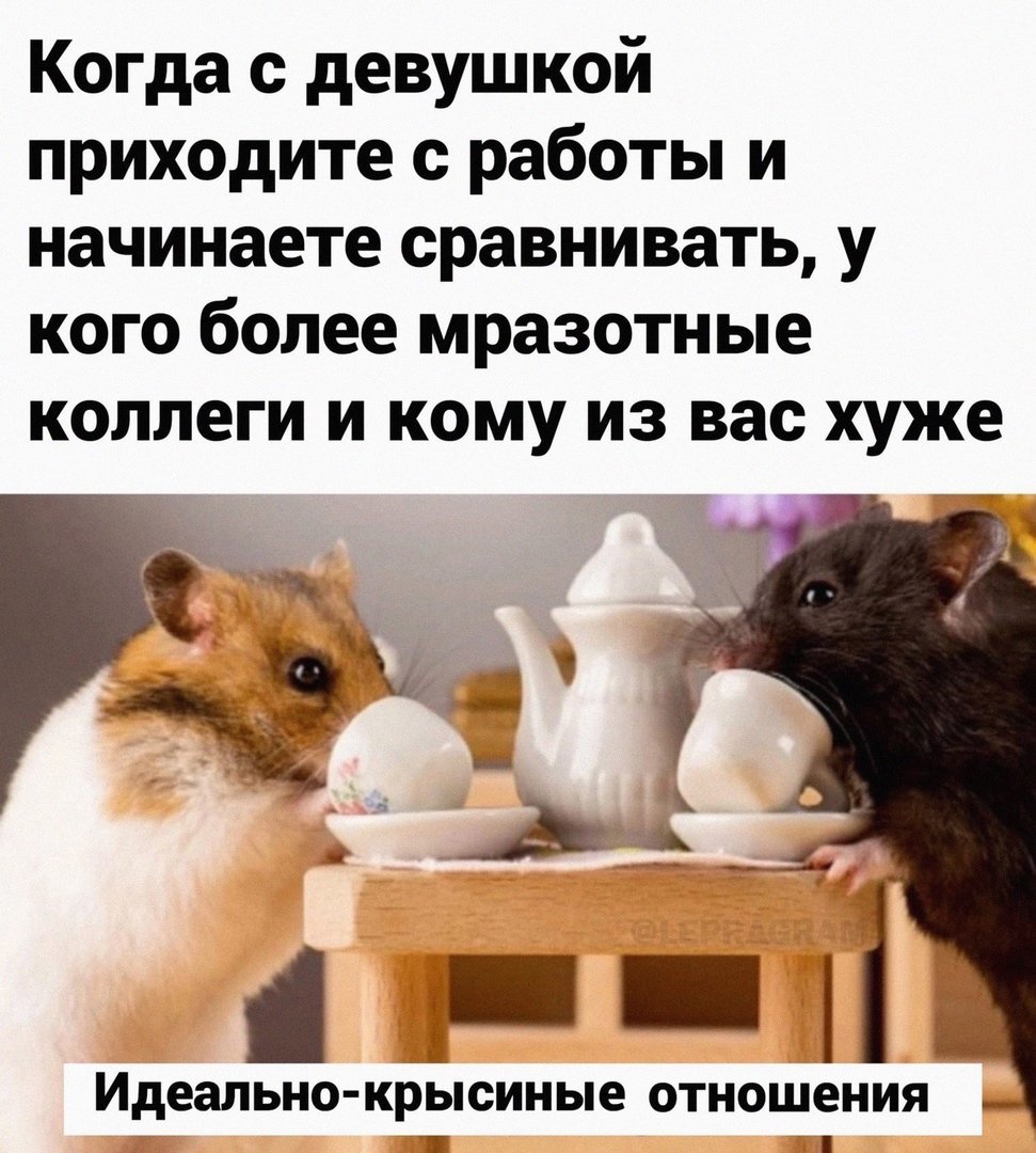 Прикольная мышка