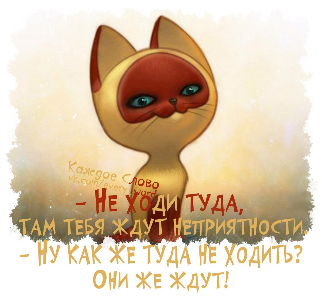 Коту скучно