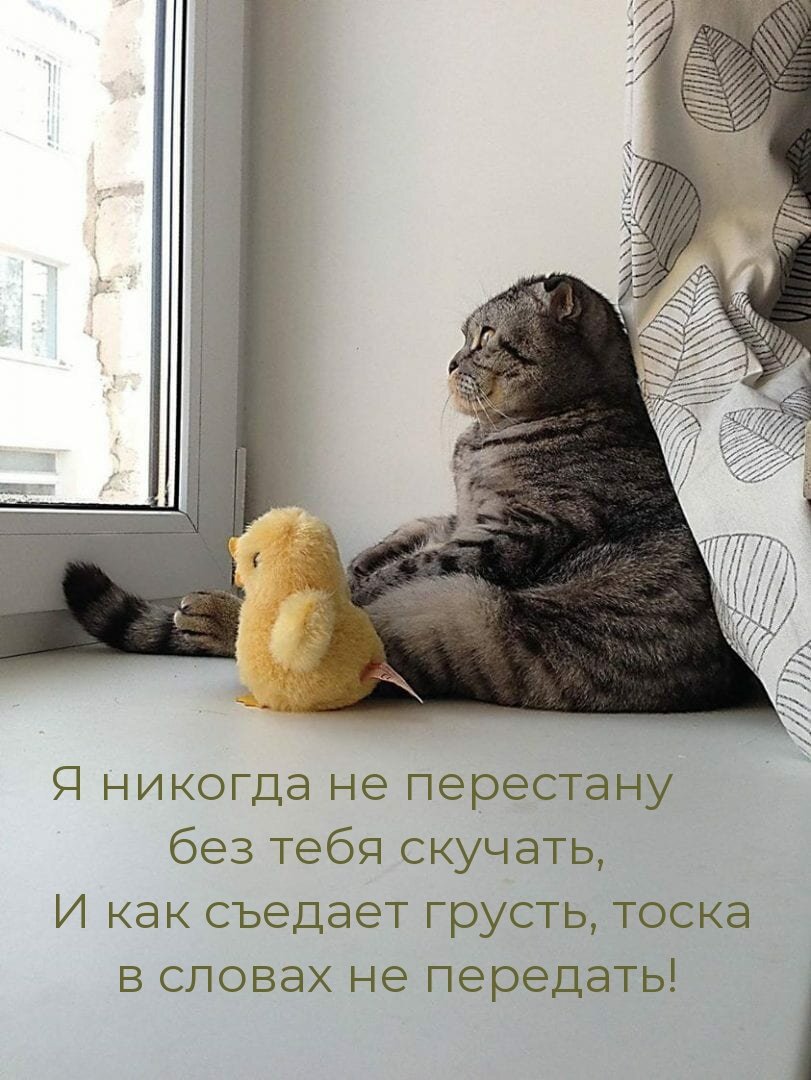 Люблю и очень скучаю