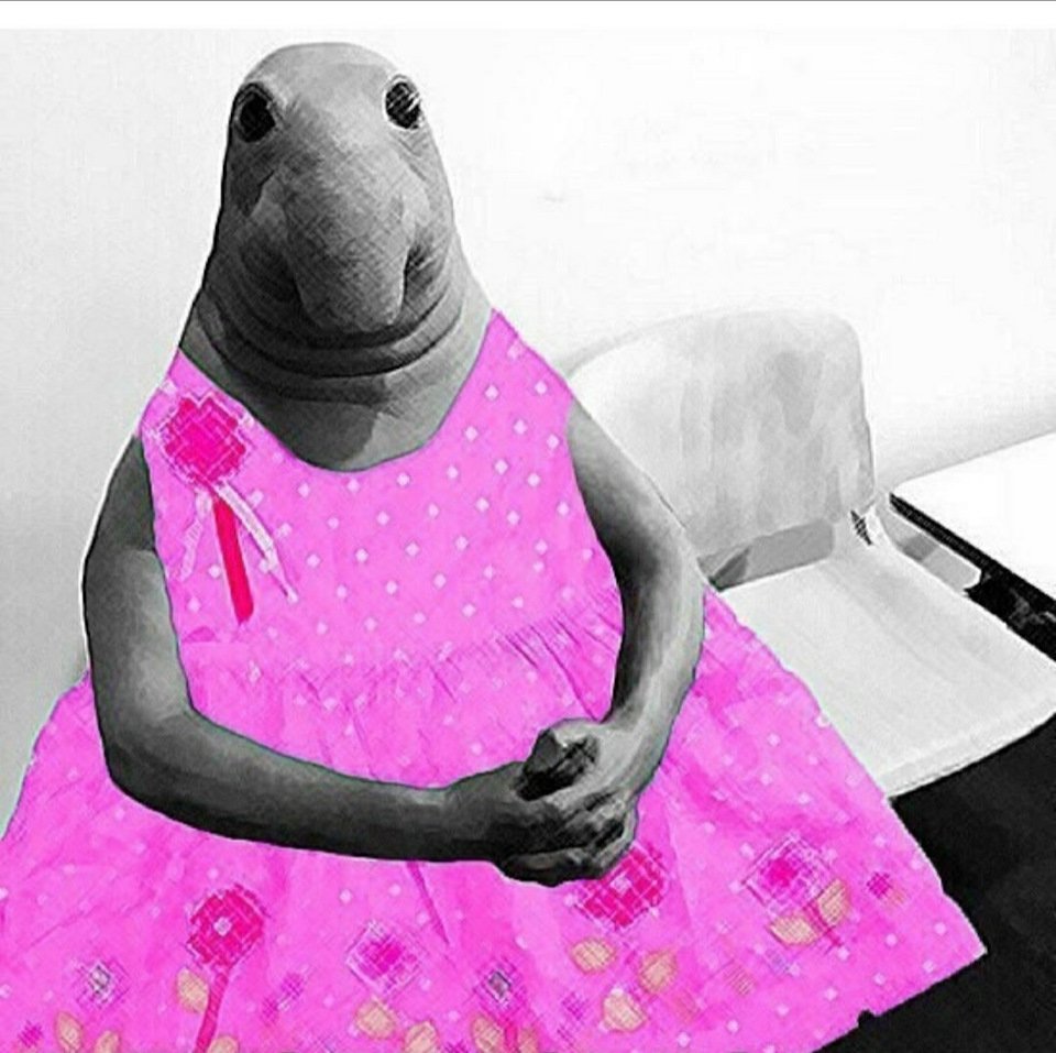 Ждун девочка