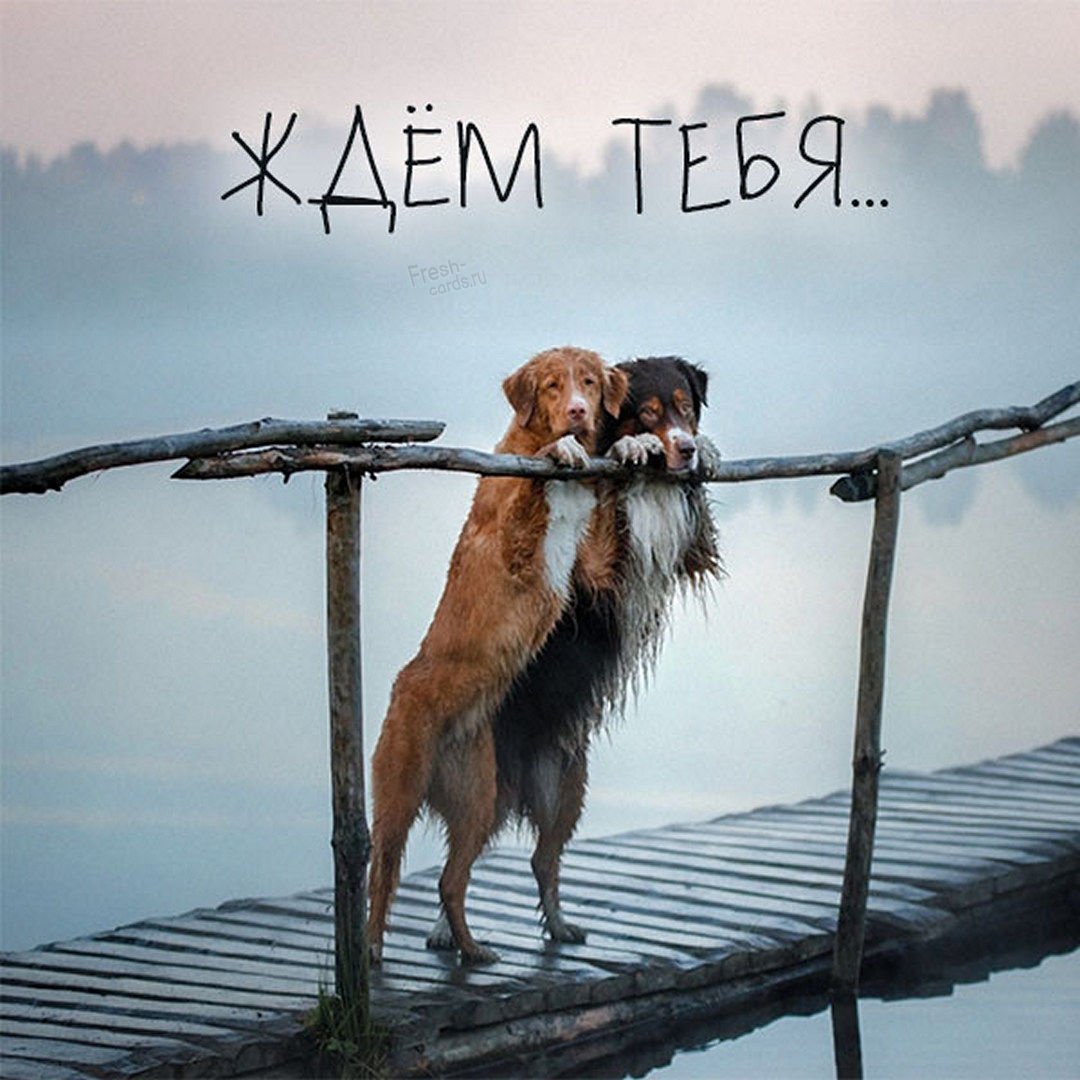 Хочу тебя картинки