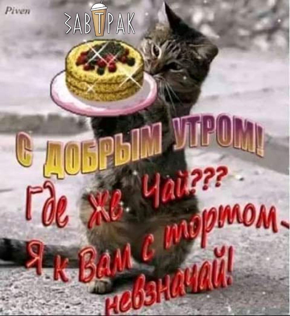 Доброе утро зимнее прикольное