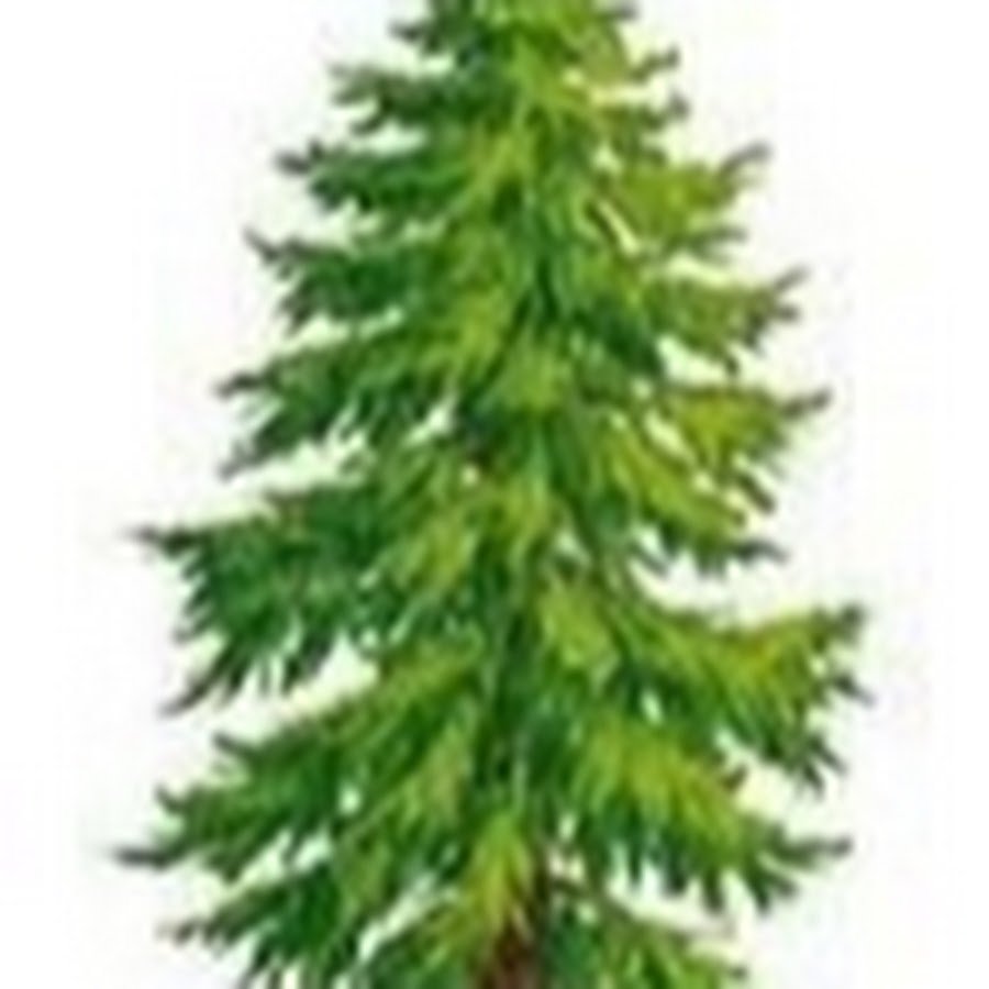 Ель карточки для детей