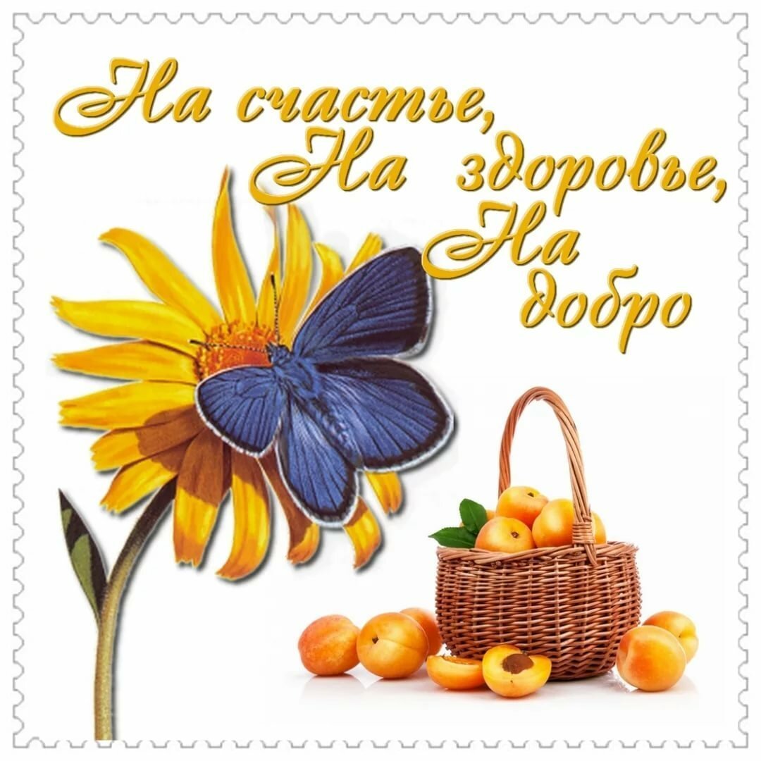 У меня же лапки